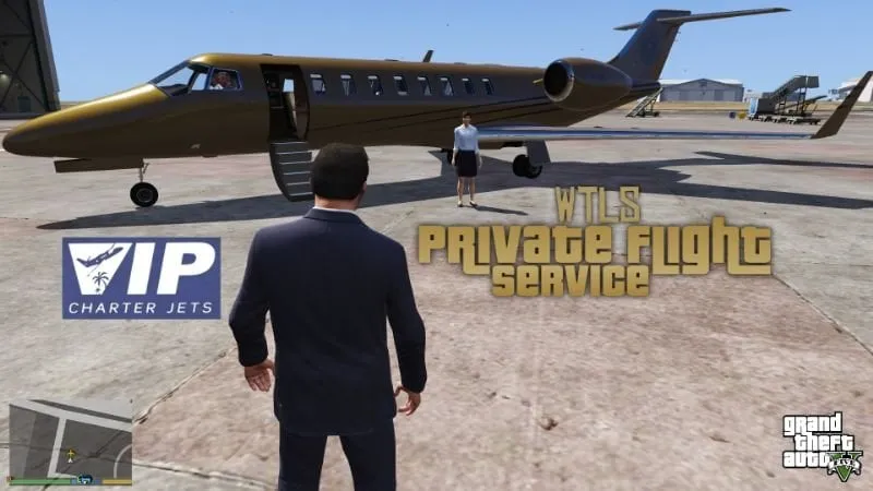 Private Flight Service (Private Jet as Passenger)